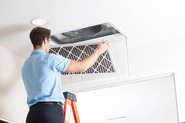 Best Best HVAC Companies  in Durand, MI
